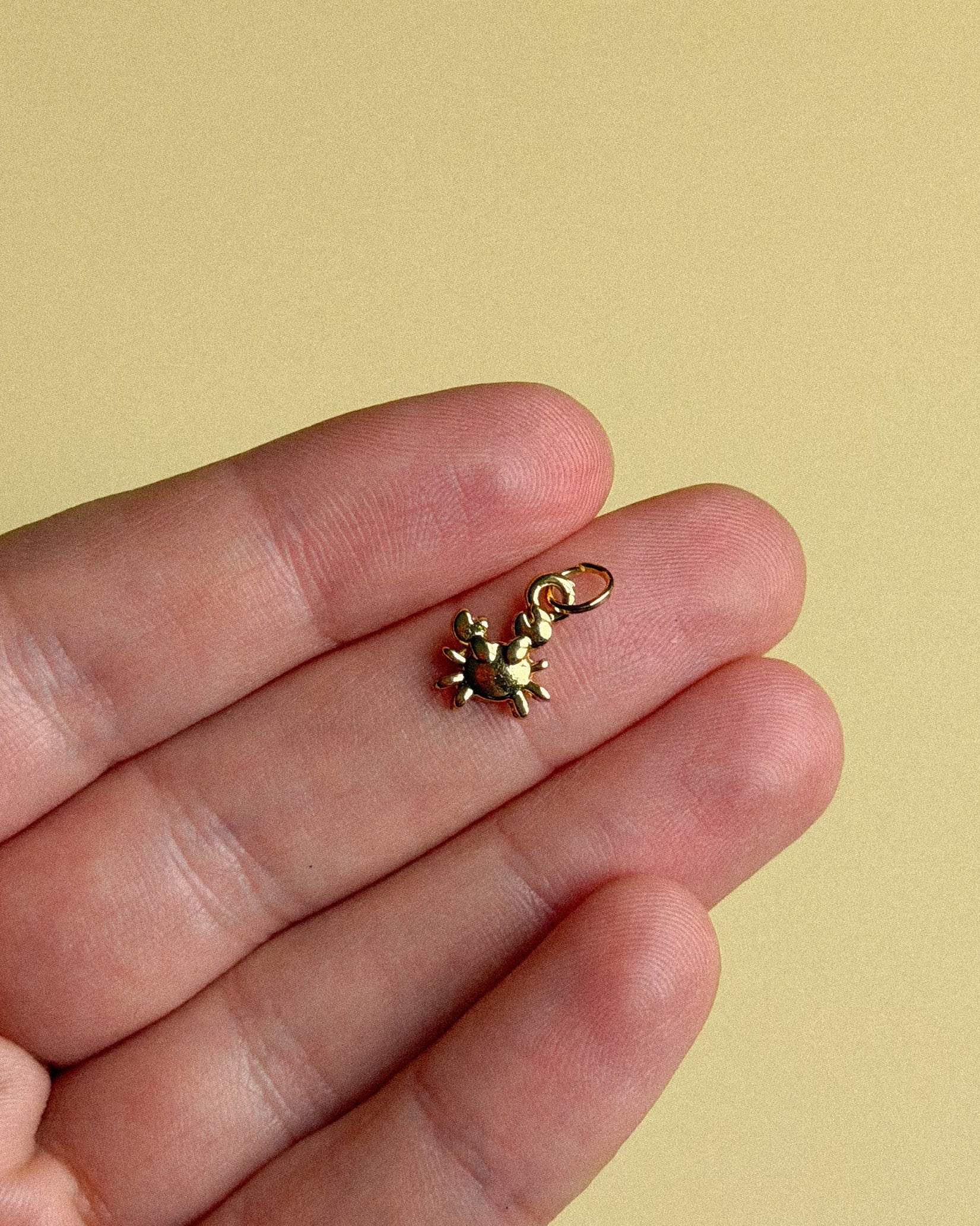 Tiny Crab Charm