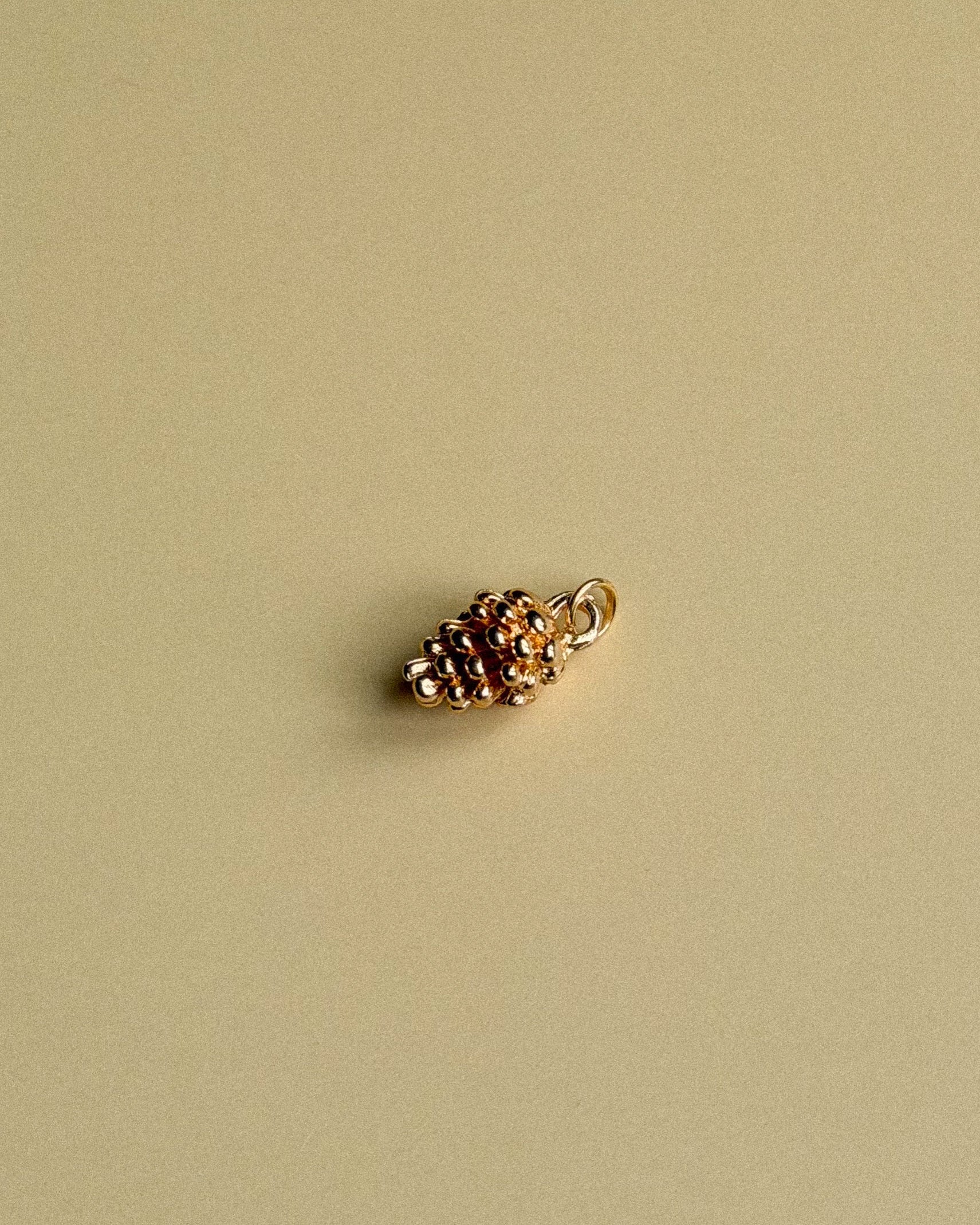 Pinecone Charm