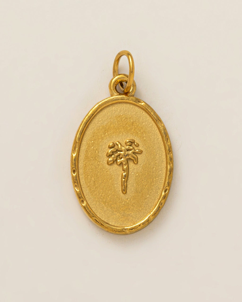 Coconut Palm Charm